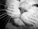 Be Kms фотография #1