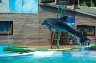 Фотография Топурии Валентины