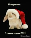 Фотография Гришиной Ирины