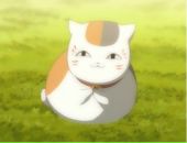 Фотография Oggf Onix