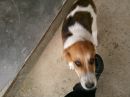 Дункан Двіжовий фотография #8 (источник - https://vk.com/id139531881)