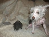 Фотография Шуваловой Оксаны