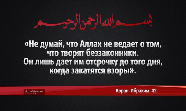 №14, Тимур Хадиев, Казань №14, Тимур Хадиев, Казань