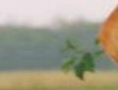 Валік Кушнір фотография #8 (источник - https://vk.com/id31411128)