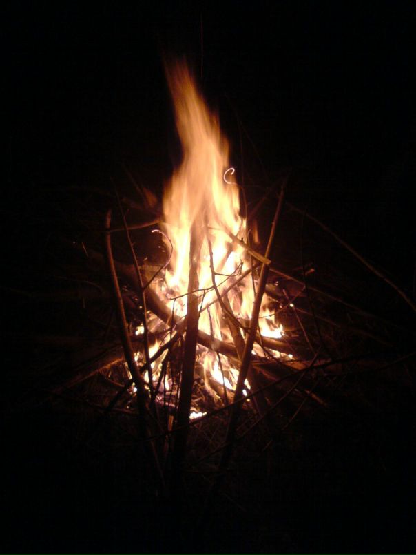 Николай Врабий фотография #4