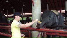 Александр Немировский фотография #25 (источник - https://vk.com/id227016)