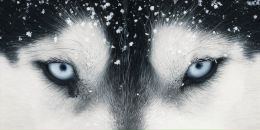 Фотография Тернового Александра