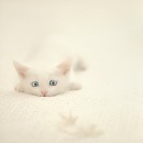 Эля Гильмутдинова фотография #12 (источник - https://vk.com/id317802)