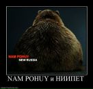 Фотография Наумова Александра