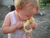Светлана Куденко фотография #42 (источник - https://vk.com/id75942691)