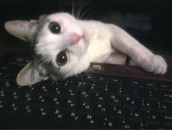 Фотография Моисеева Владислава