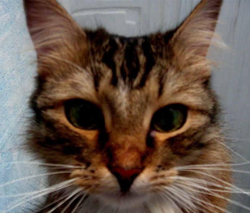 Катя Fr фотография #17