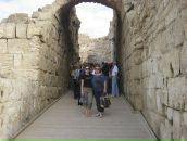 Софья Степанова фотография #31 (источник - https://vk.com/id4885727)