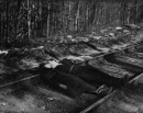 Рома Шішка фотография #18 (источник - https://vk.com/id80338797)