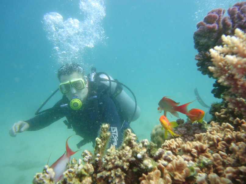 Иван Воробьев фотография #50