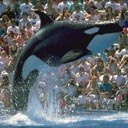 Маряна Медвідь фотография #40 (источник - https://vk.com/id153497009)