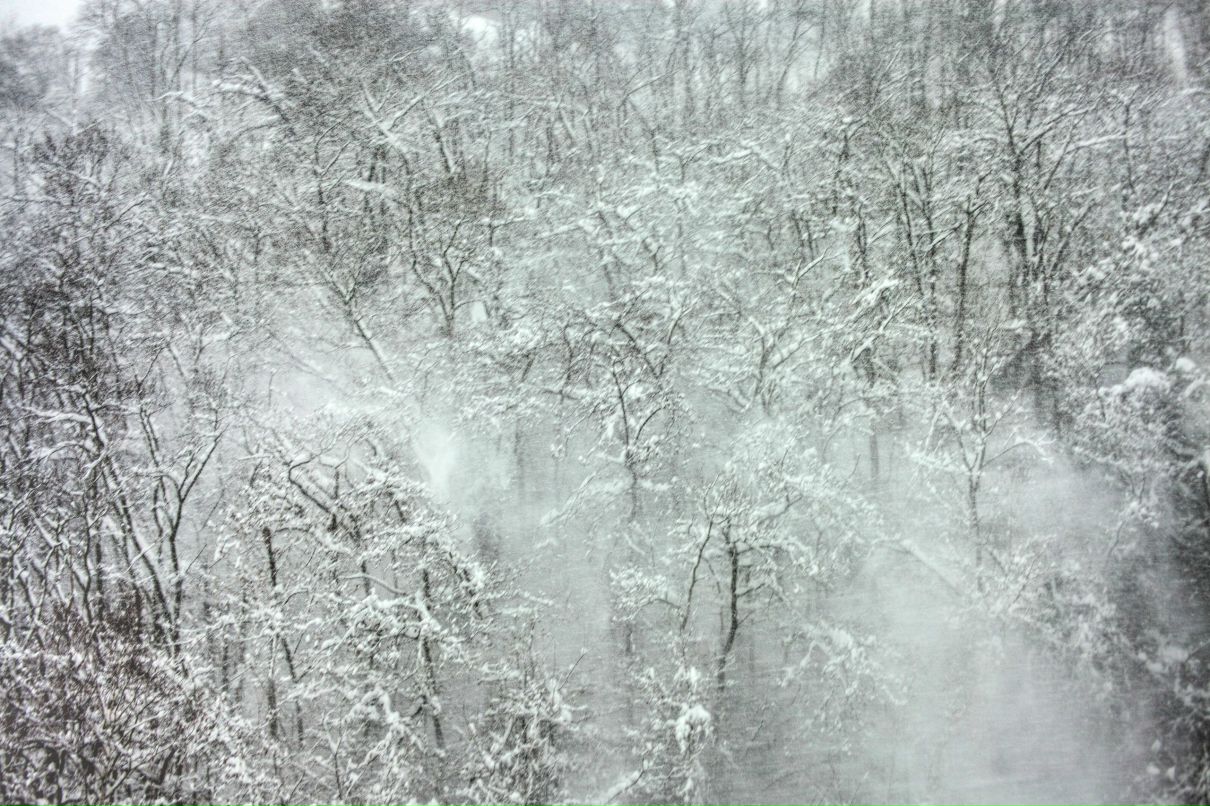 Денис Иллай фотография #35