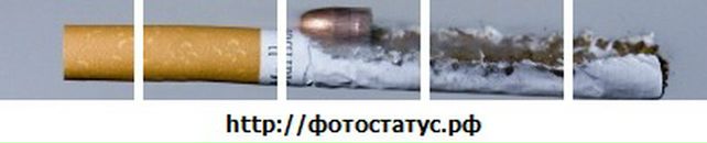 Діма Петров фотография #10 (источник - https://vk.com/id76484046)