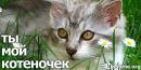 Ірусік Мех фотография #19 (источник - https://vk.com/id77701112)