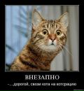 Софья Раппа фотография #13 (источник - https://vk.com/id3152804)