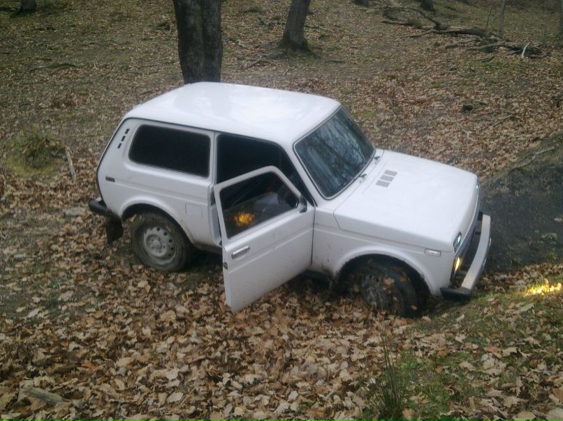 Дэвид Чарквиани фотография #14