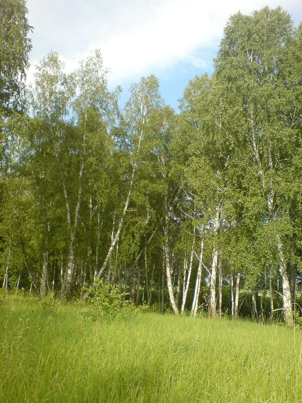 Дмитрий Федуленко фотография #5