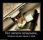 Анна Чернова фотография #10 (источник - https://vk.com/id530342)