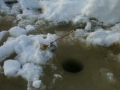 Фотография Николаева Андрея