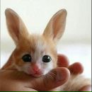 Фотография Фасахова Раиля