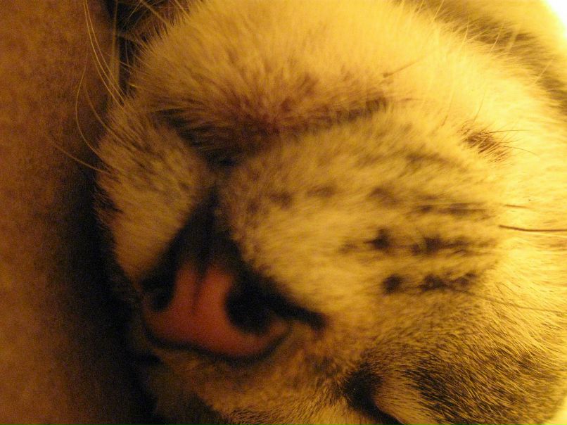 Катя Fr фотография #24