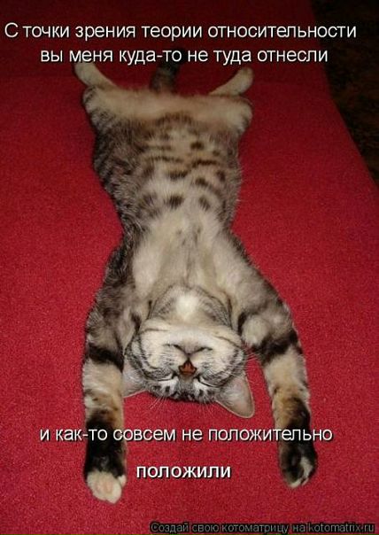 Вiк@ Sиlиn@ фото №4