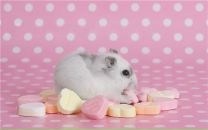 Фотография Рябченко Натали