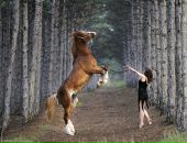 Фотография Voski Karina