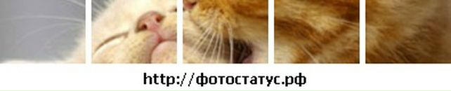 Віта Дмитрук фотография #36 (источник - https://vk.com/id48067625)