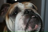 Фотография Шишкина Алексея