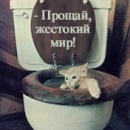 Богдан Терендех фотография #14 (источник - https://vk.com/id84879409)