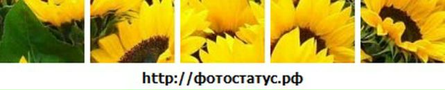 Іра Кулик фотография #25 (источник - https://vk.com/id19033940)