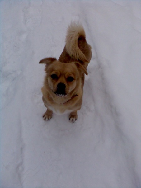 Roxana Prokopenko фото №1