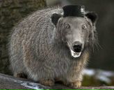 Фотография Фетисова Елена