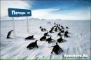 Фотография Ефимца Дениса