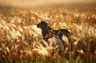 Фотография Северинова Валентина