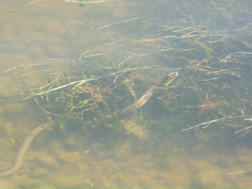 Игорь Волков фотография #42