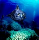 Фотография Александрова Игоря