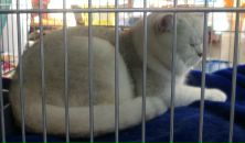 Виктор Логвин фотография #14 (источник - https://vk.com/id1749928)