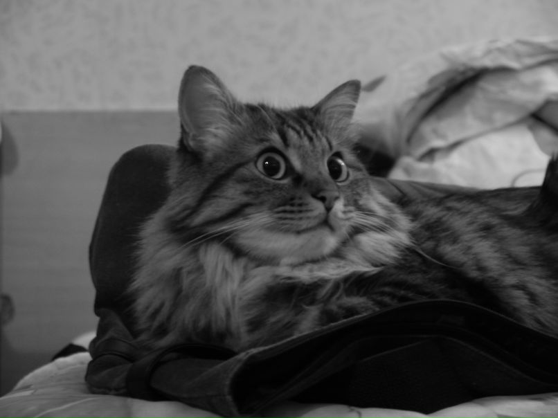 Мария Терещенко фотография #17