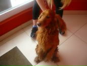 Фотография Петровой Натальи