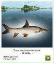 Ingutia Kieraite фотография #26 (источник - https://vk.com/id37570152)