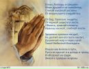 Сніжана Ренкас фотография #42 (источник - https://vk.com/id85898988)
