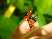 Фотография Никитиной Ларисы