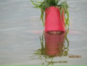 Ігор Войтович фотография #33 (источник - https://vk.com/id55374440)